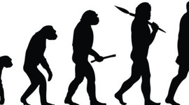 Timeline: Evolution