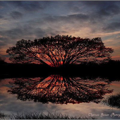 Timeline: My Life: Past, Present, and Future.