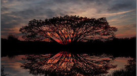 Timeline: My Life: Past, Present, and Future.