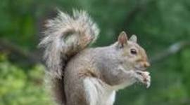 Timeline: Forensic Body Farm