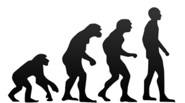 Timeline: History of Evolution