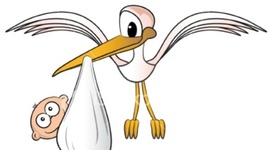 Timeline: Toddler Timeline