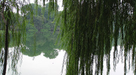 Timeline: Chapter 6: In the Third Month of the Year of Famine