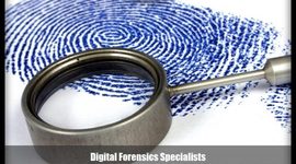 Timeline: The History of Forensics