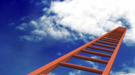 Timeline: Year 9 Inquiry