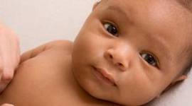Timeline: toddler timeline