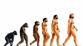 Timeline: Evolution Timeline