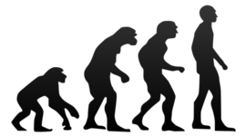 Timeline: Evolution Timeline