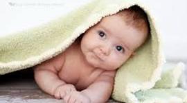 Timeline: Toddler Timeline