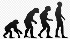 Timeline: Evolution Revolution