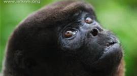 Timeline: Russian Revolution Pd.4