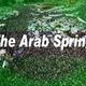 Arab spring