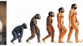 Timeline: Eje cronológico sobre las especies