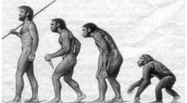 Timeline: La evolución
