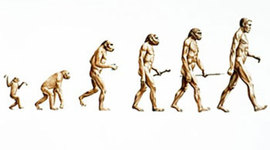 Timeline: Darwin's Evolution Theory and Influences