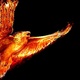 800px phoenix bird 1440x900