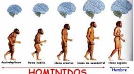Timeline: Evolución de los homínidos