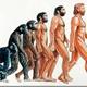 Evolucion humana