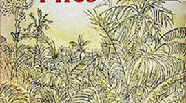 Timeline: Lord of the Flies