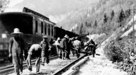 Timeline: Immigration