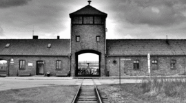 Timeline: Hitler's Final Solution : Racial Genocide