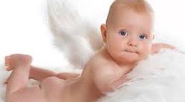 Timeline: Toddler Timeline