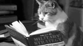 Timeline: Supreme Court Cases of the Time Period Which We Covered In APUSH Class