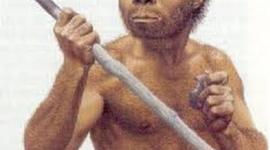 Timeline: Linea del tiempo biología