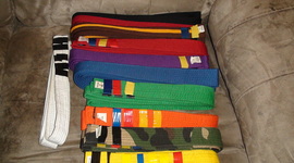 Timeline: My Karate Career