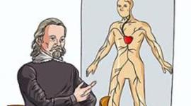 Timeline: Blood flow theory