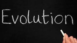 Timeline: Evolution Timeline