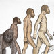 Evolution from ape to hum 001