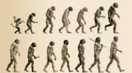 Timeline: La Evolución de los Homínidos