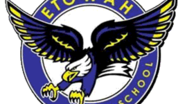 Timeline: High School