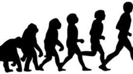 Timeline: Evolution