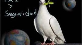 Timeline: PAZ Y SEGURIDAD EN COLOMBIA