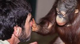 Timeline: Historia de México