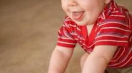 Timeline: Toddler Timeline