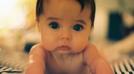 Timeline: Toddler Timeline