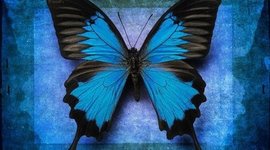 Timeline: MIS PRIMEROS MOMENTOS