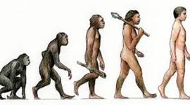 Timeline: History of Evolution
