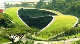 Timeline: Linea de tiempo TERRAZAS VERDES