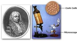 Timeline: Cell Discovery