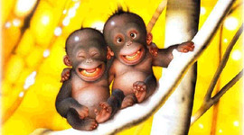 Timeline: Make Everything Count!