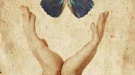 Timeline: Human Rights