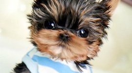 Timeline: Cold War Activity