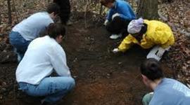 Timeline: Forensics Body Farm