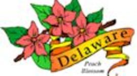Timeline: Delaware