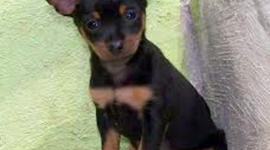 Timeline: La vida de Missi