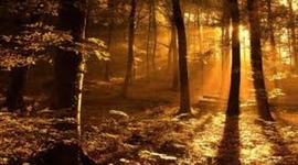 Timeline: History Timeline: Danny Keyes